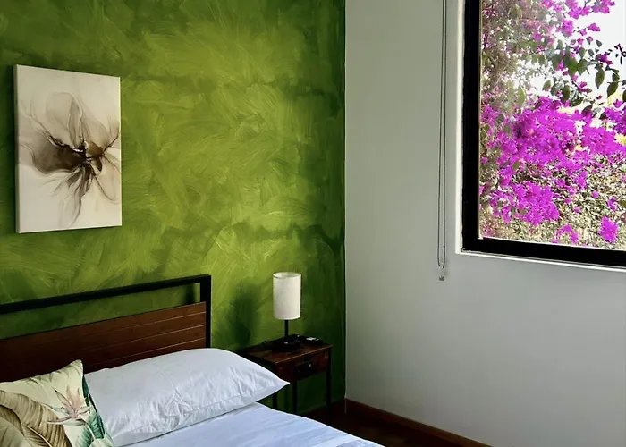 Hotel Casa Bamboo