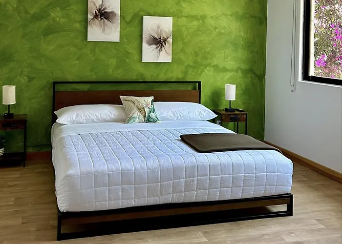 Casa Bamboo Mexico City