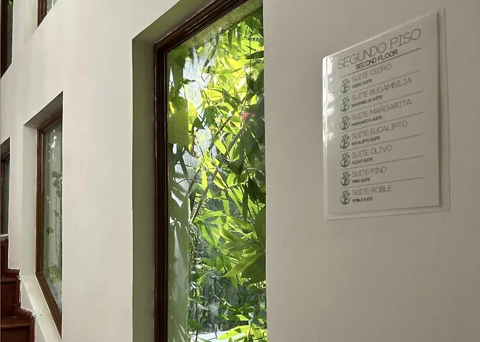 Hotel Casa Bamboo *
