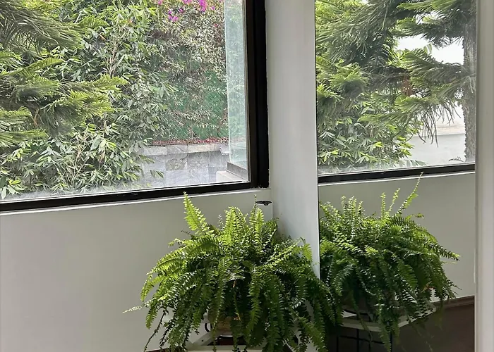 Hotel Casa Bamboo